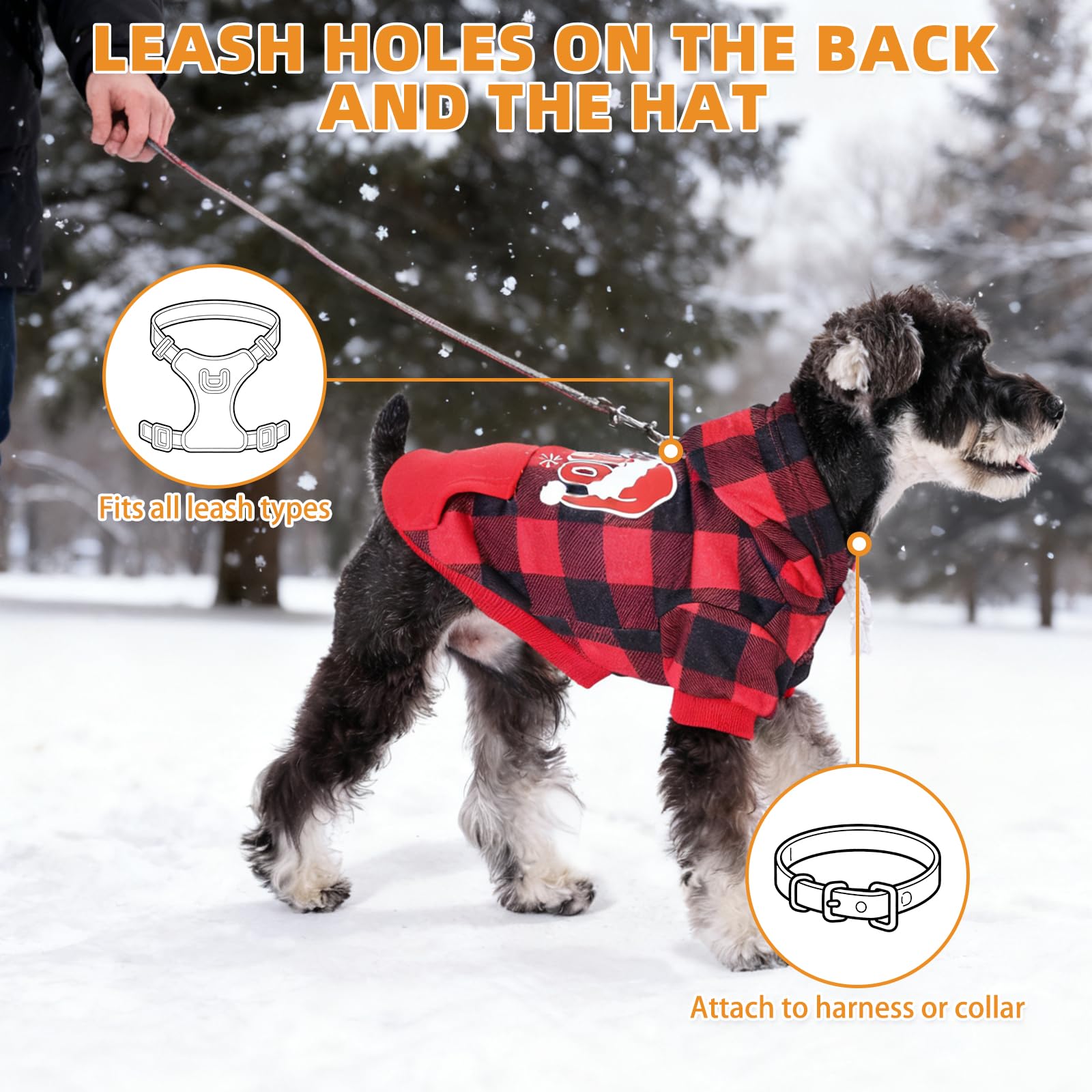 KOOLTAIL hoodie con cordón ajustable: ajuste seguro alrededor de la cabeza
