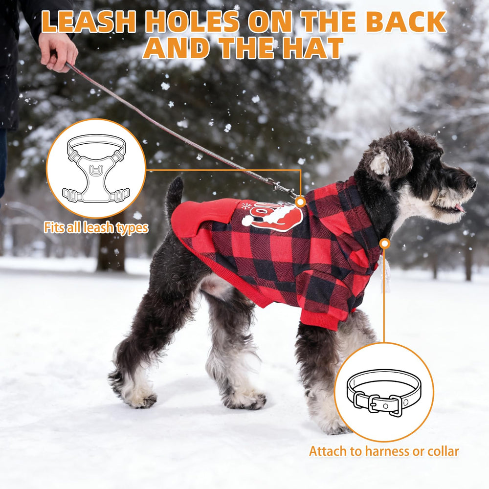 KOOLTAIL hoodie con cordón ajustable: ajuste seguro alrededor de la cabeza