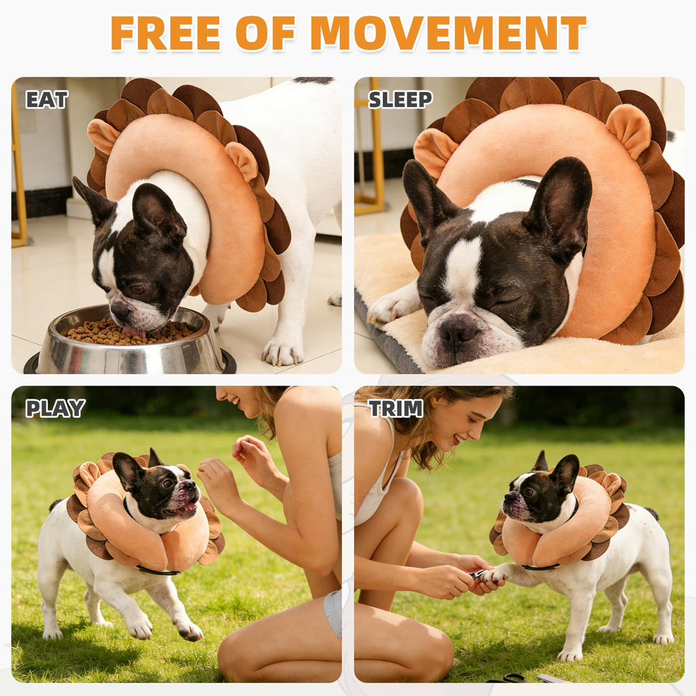 KOOLTAIL collar inflable se desinfla para un guardado compacto.