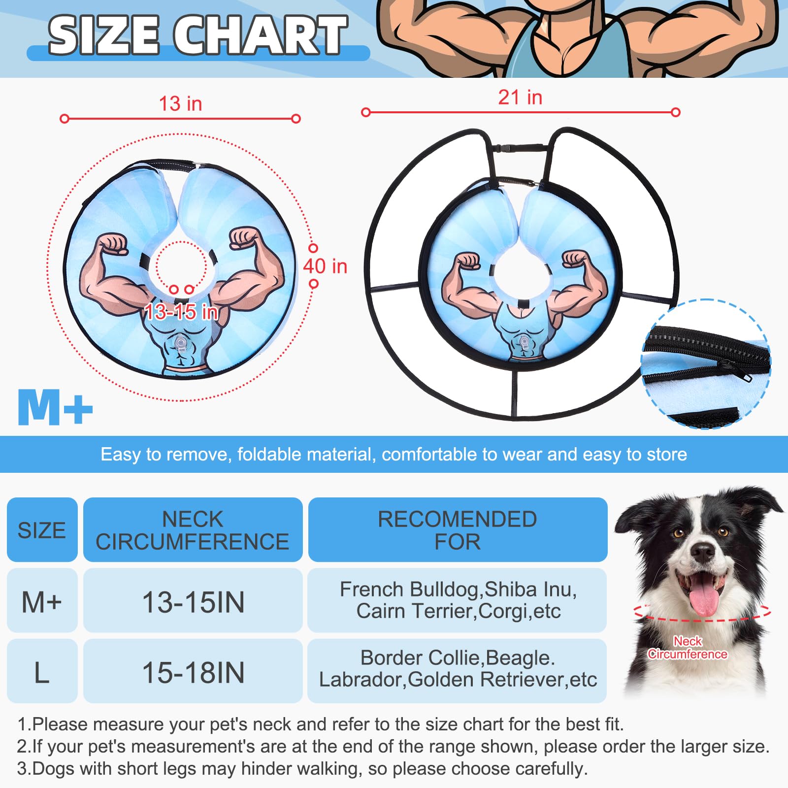 KOOLTAIL cono inflable ligero que favorece descanso del perro