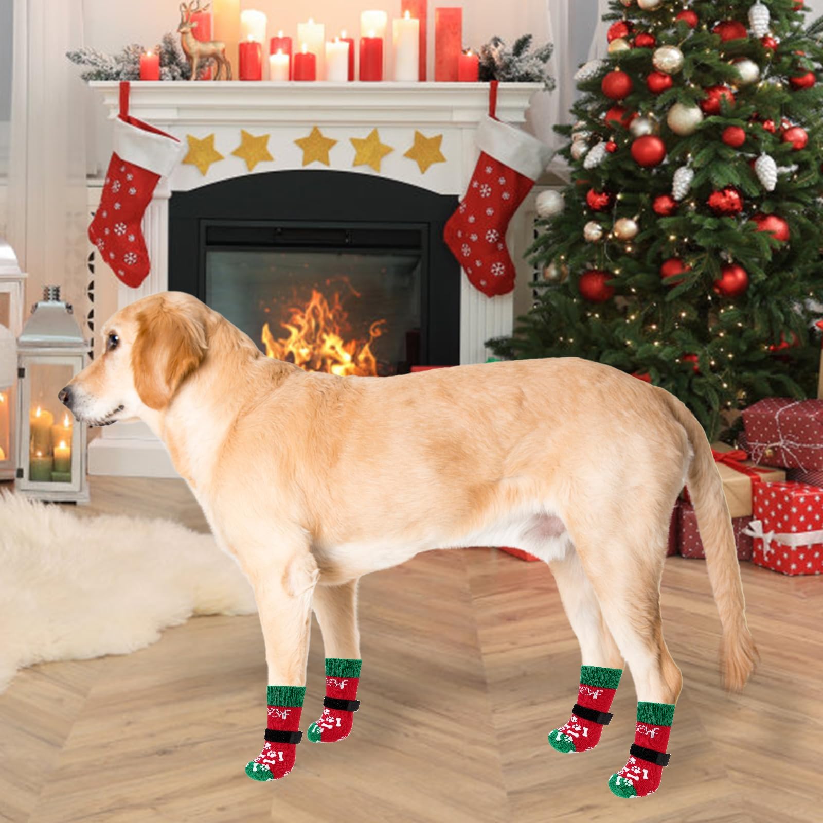 KOOLTAIL diseño navideño para uso diario y regalo festivo