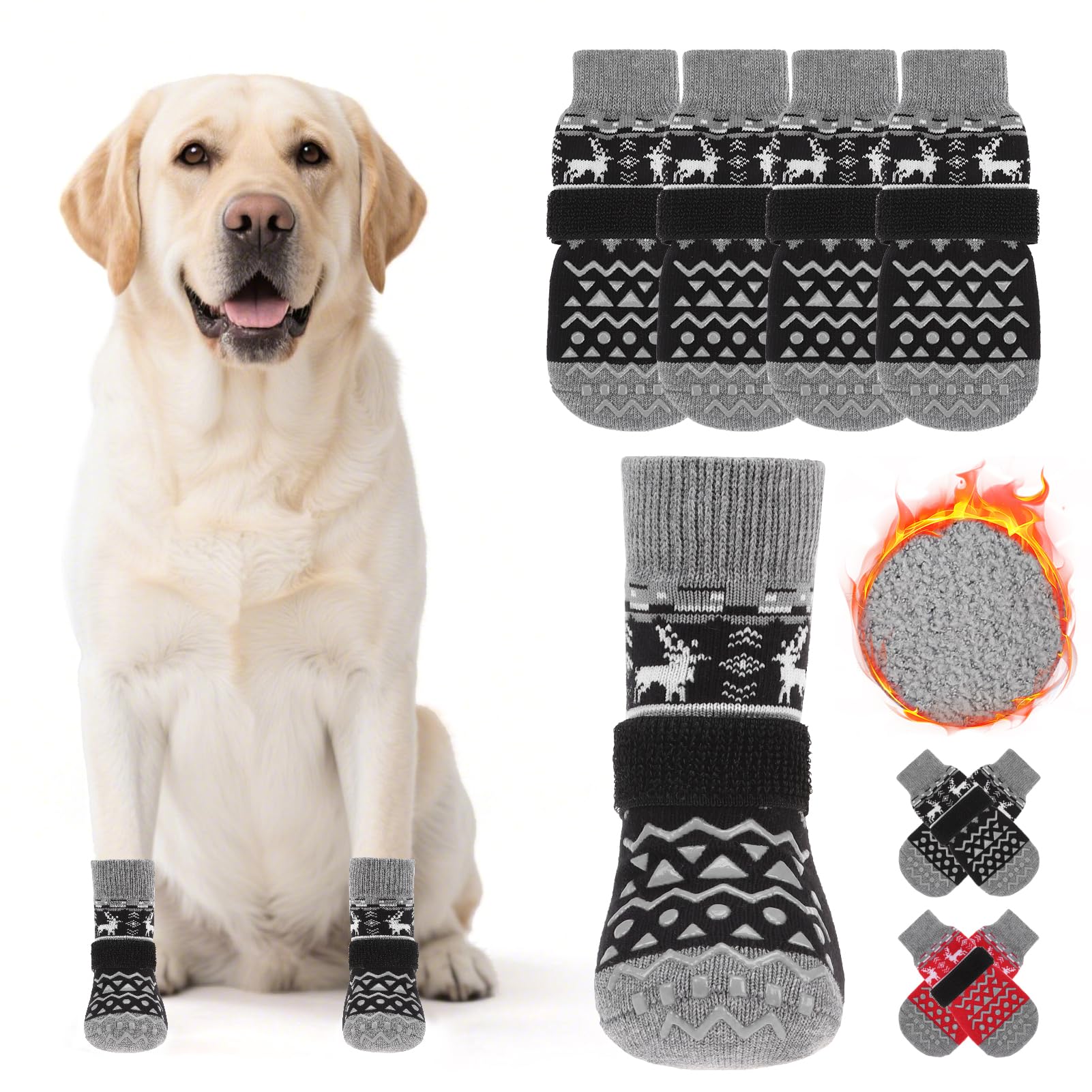 KOOLTAIL calcetines para perros protegiendo patitas durante paseos.