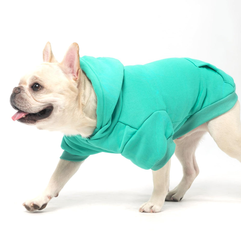 KOOLTAIL sudadera en color Lago Azul, opción versátil para el conjunto de tu mascota