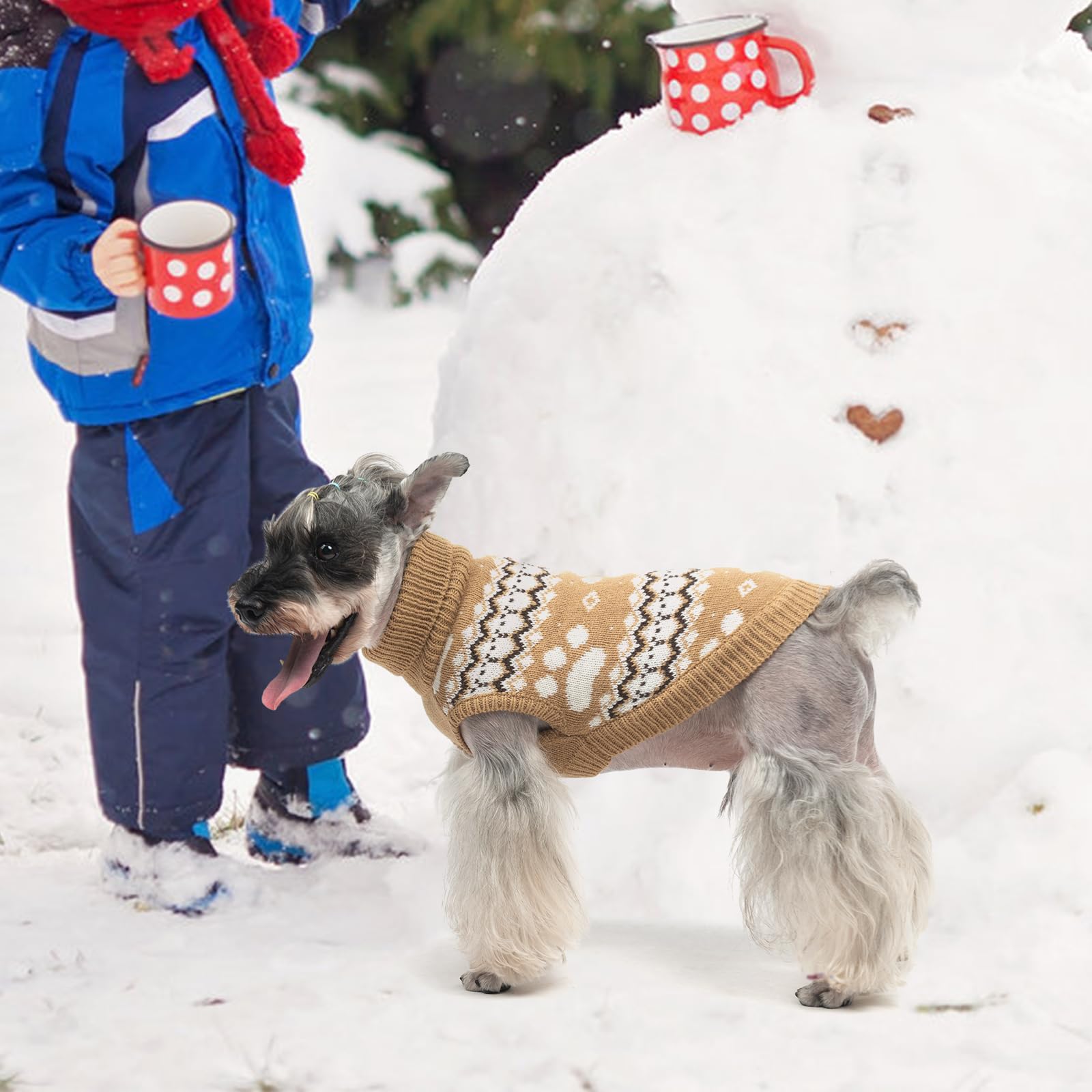 KOOLTAIL look elegante para salidas diarias de invierno