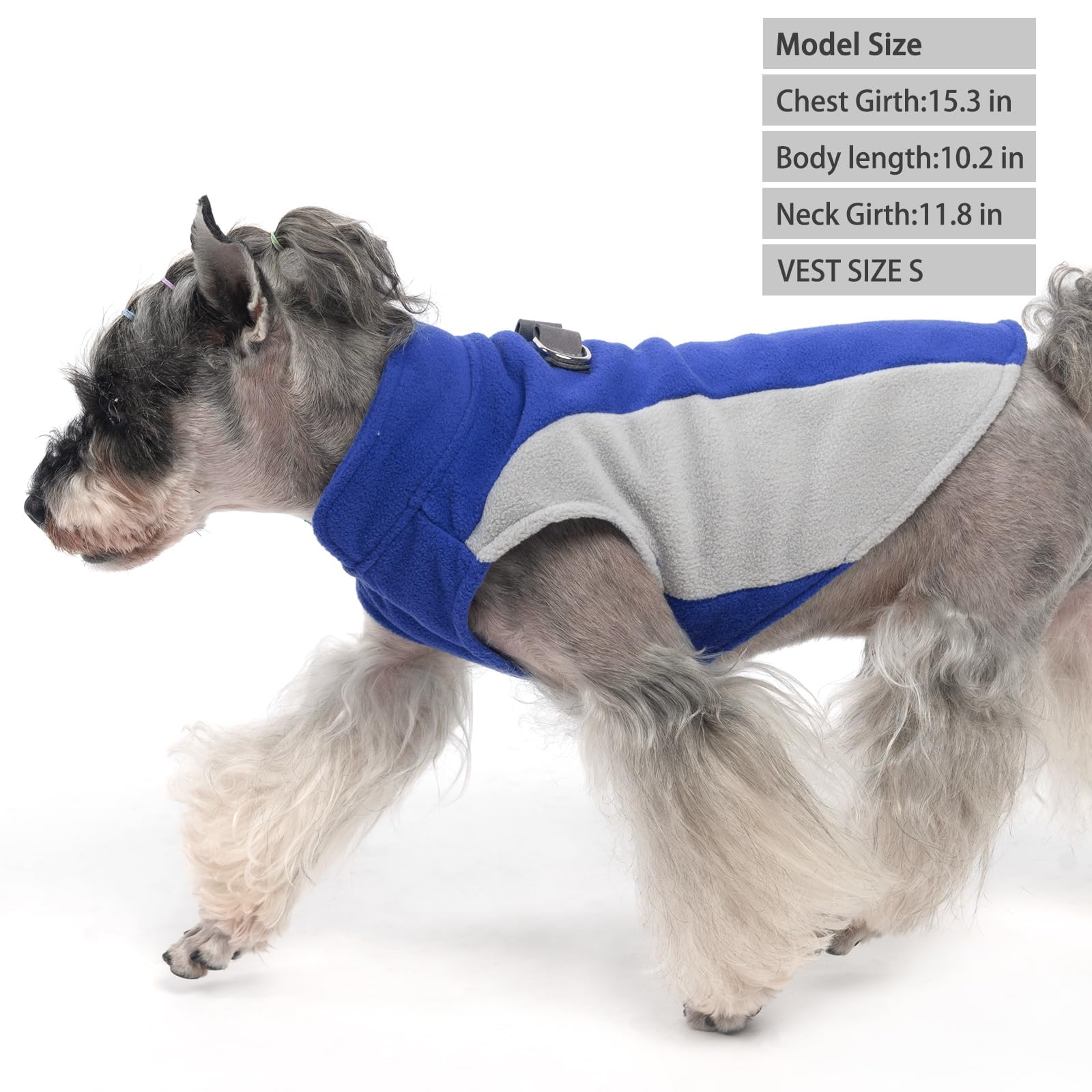 KOOLTAIL guía de tallas cuello y pecho para ajuste cómodo.