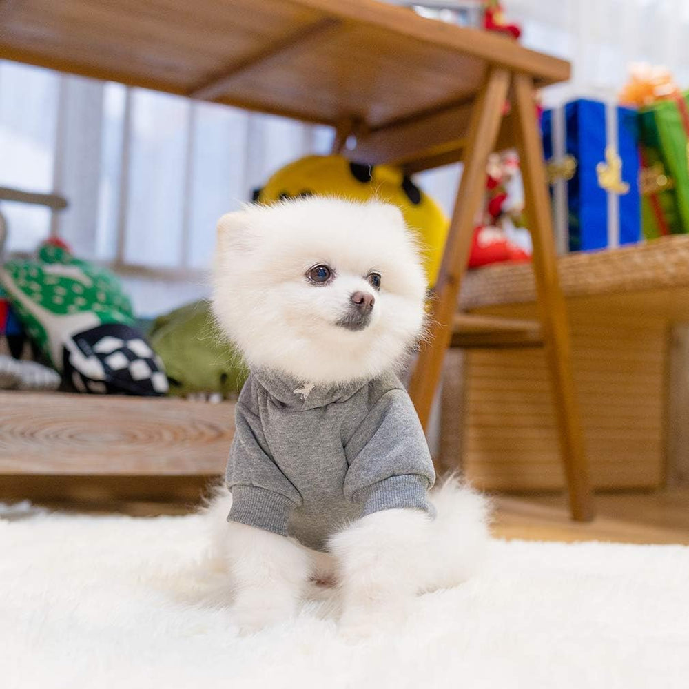 KOOLTAIL hoodie para perros Basic, lavable a máquina para limpieza rápida.
