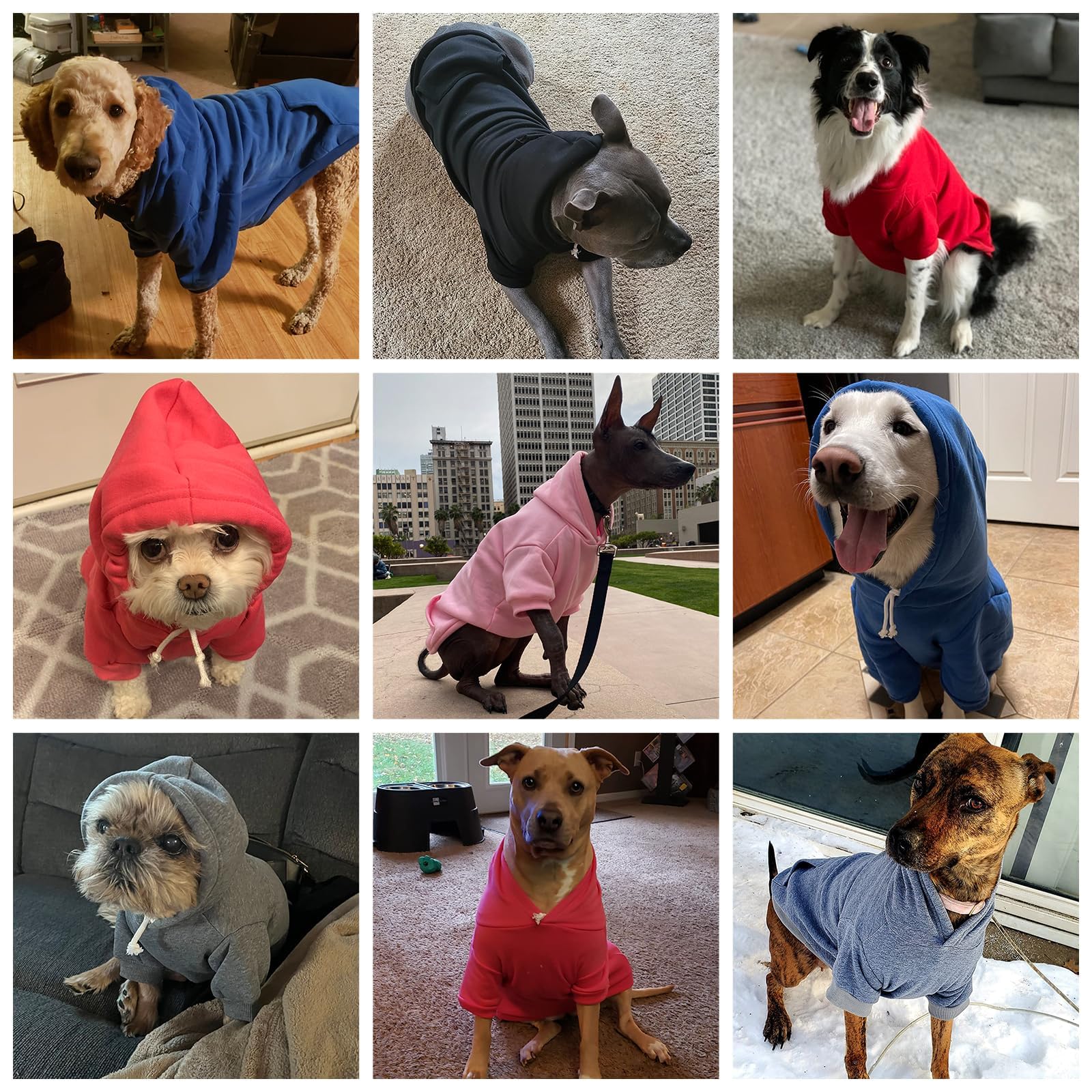KOOLTAIL hoodie perro apto para lavado a máquina y cuidado sencillo