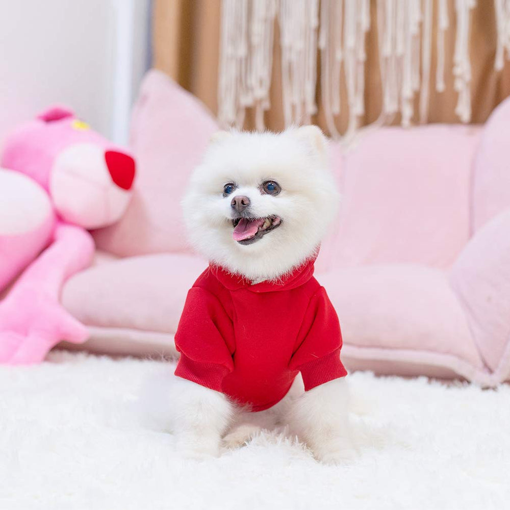 KOOLTAIL hoodie apto para lavado a máquina, fácil de cuidar