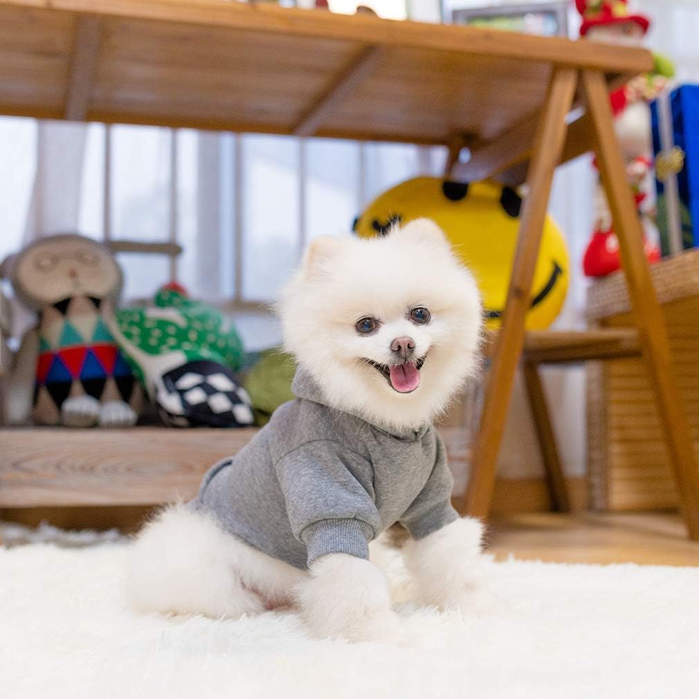 KOOLTAIL hoodie perro en varios colores para combinar con su personalidad