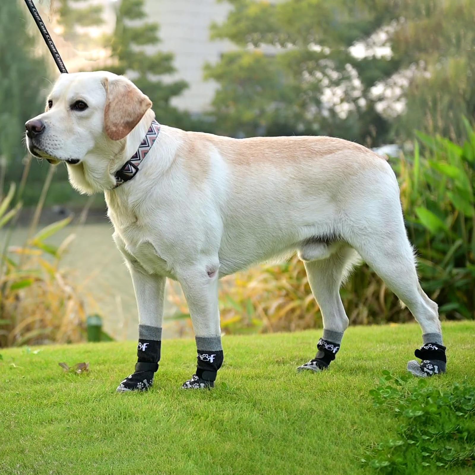 KOOLTAIL botas para evitar lamido y proteger pisos