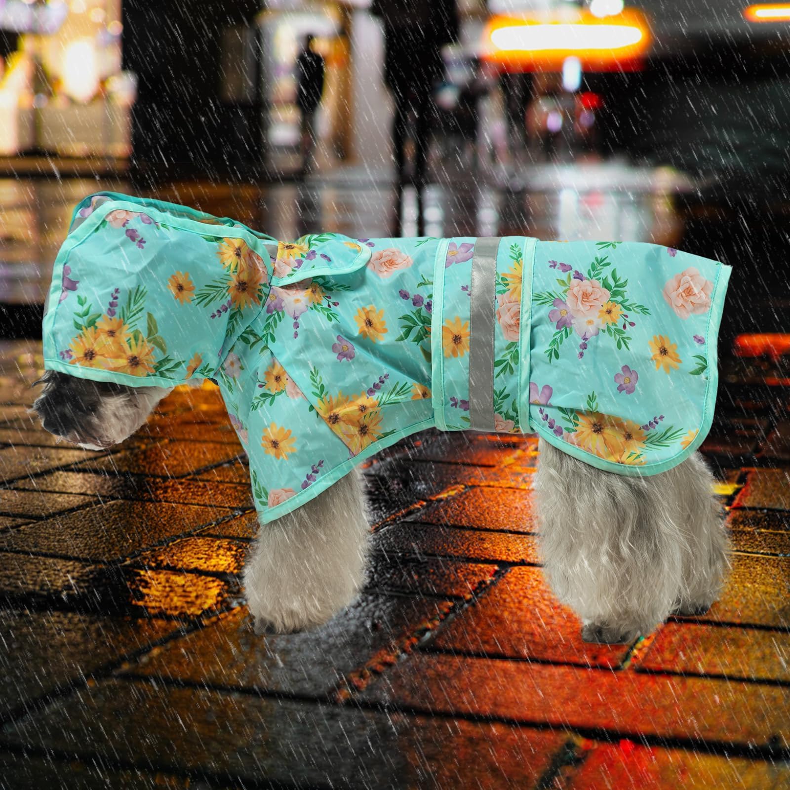 KOOLTAIL chubasquero con diseños variados para cada ocasión.