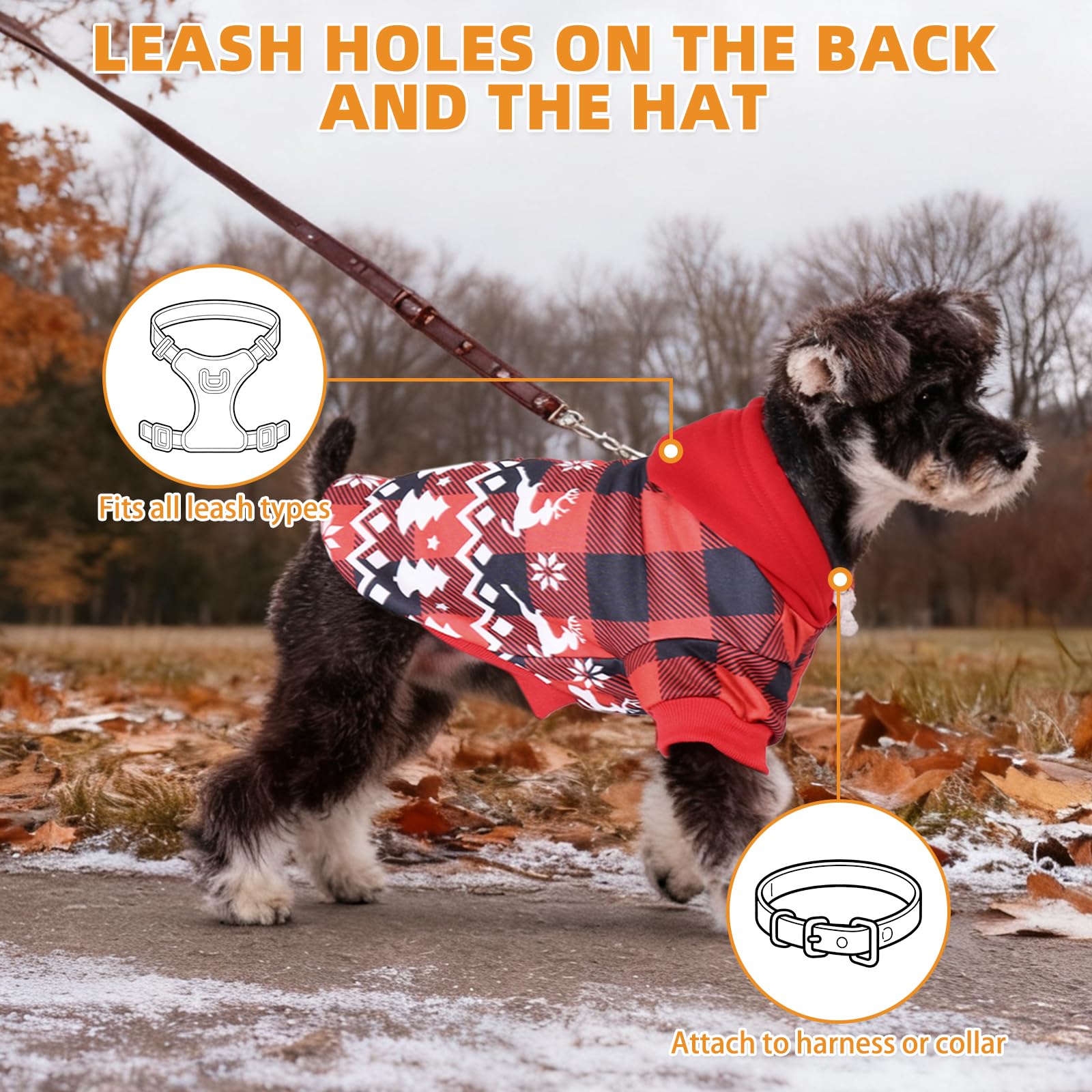 KOOLTAIL lavado a máquina, cuidado sencillo para dueños ocupados