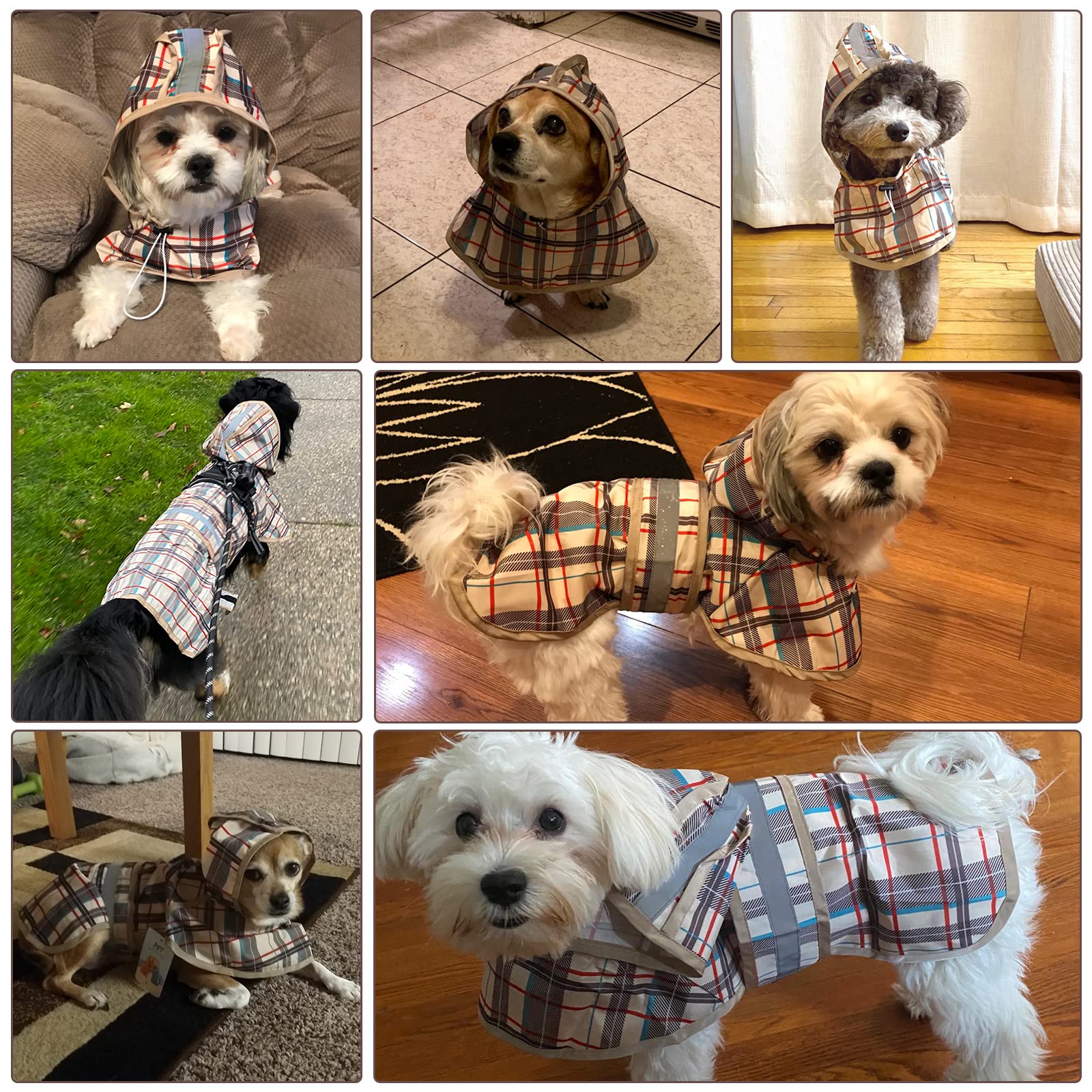 KOOLTAIL poncho para perros, diseños variados para cada estación