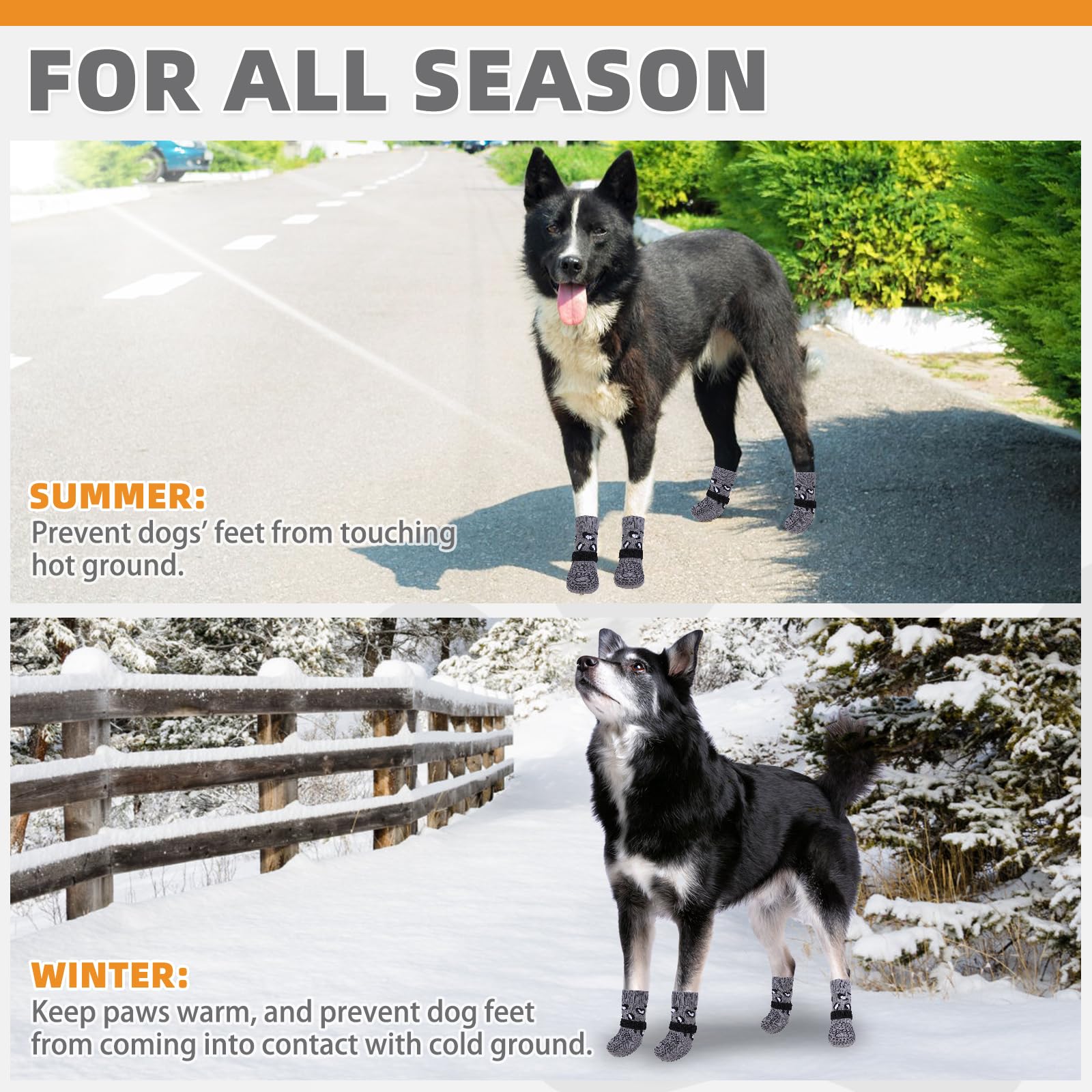 KOOLTAIL protección de patas frente a calor y frío en paseos