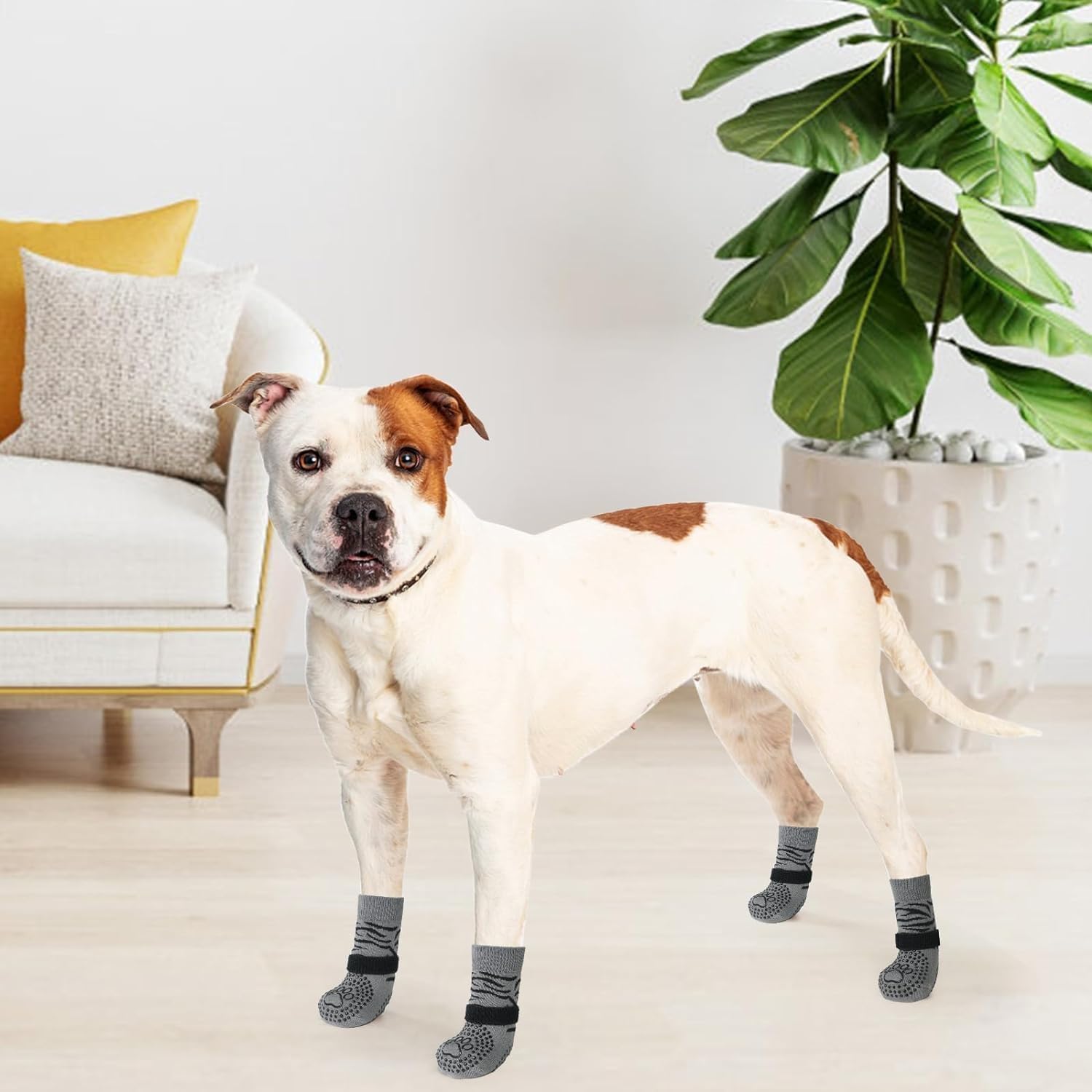 KOOLTAIL protector de patas para calor y frío extremo en pavimentos