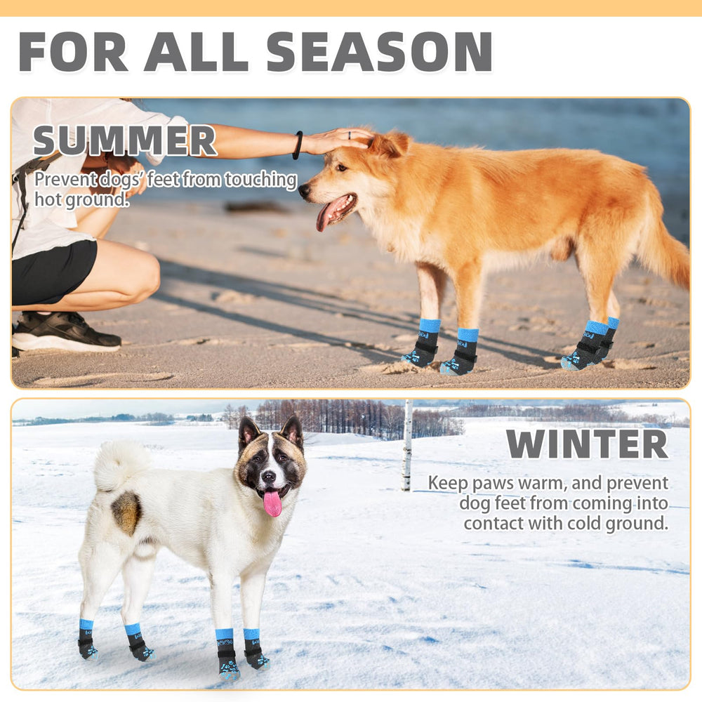 KOOLTAIL protección de patas frente a calor y frío en superficies urbanas.