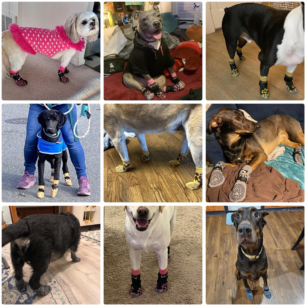 KOOLTAIL protección de patas contra superficies ásperas y objetos pequeños.