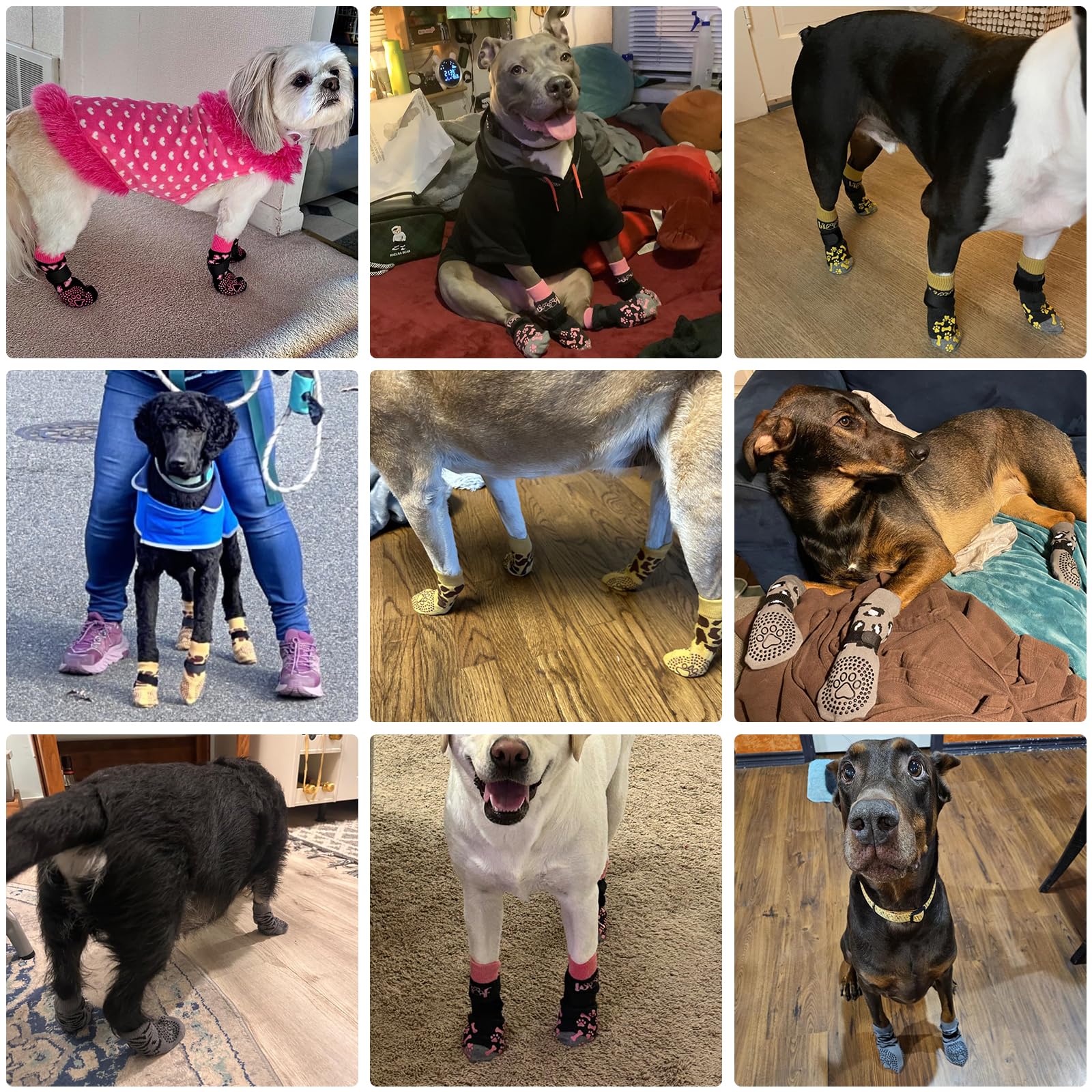 KOOLTAIL protección de patas para interiores, mejora la tracción en suelos.