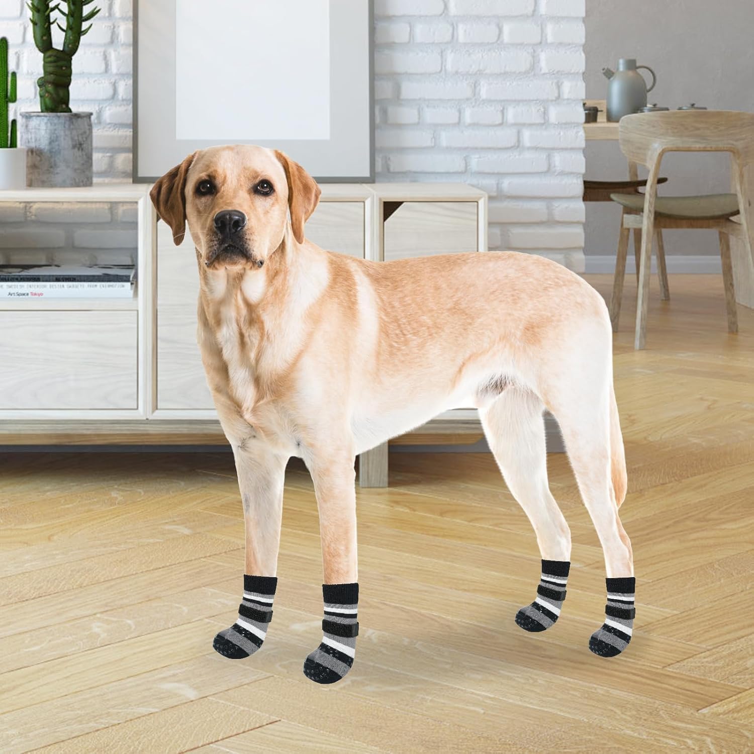 KOOLTAIL protección de patas frente a piedras y vidrios al aire libre
