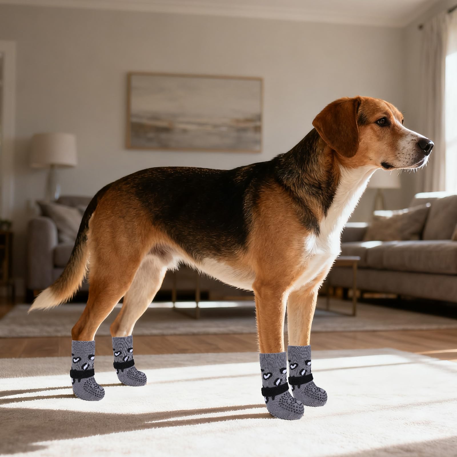 KOOLTAIL protege patas delicadas frente a terreno áspero y escombros.