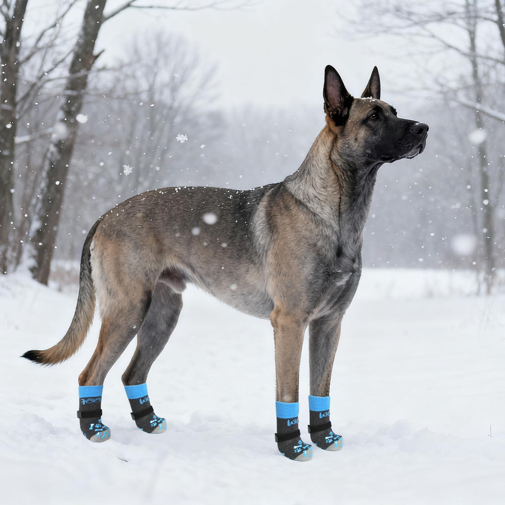 KOOLTAIL protege las patas y evita que el perro lama zonas sensibles.