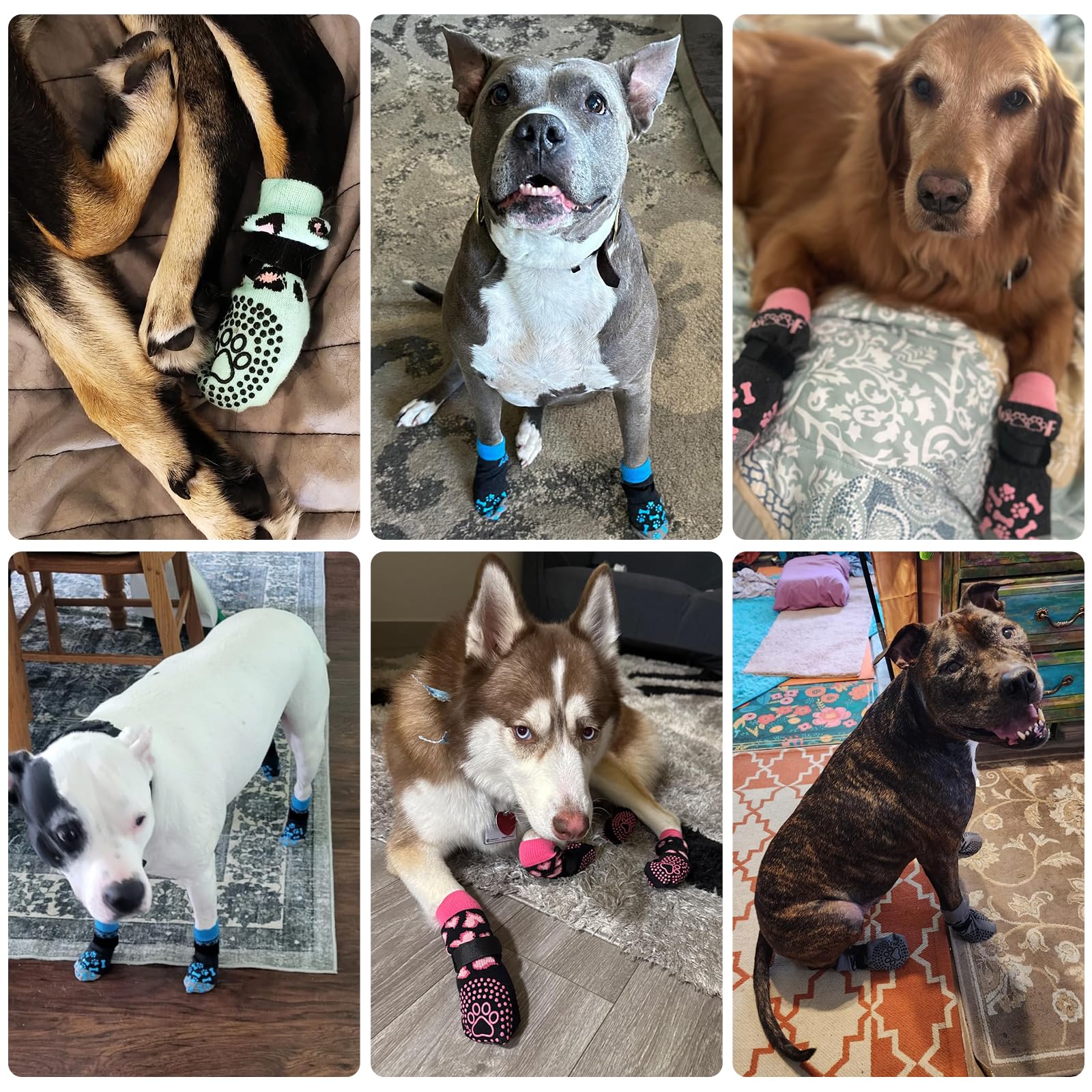 KOOLTAIL cálido y cómodo para patas durante todas las estaciones