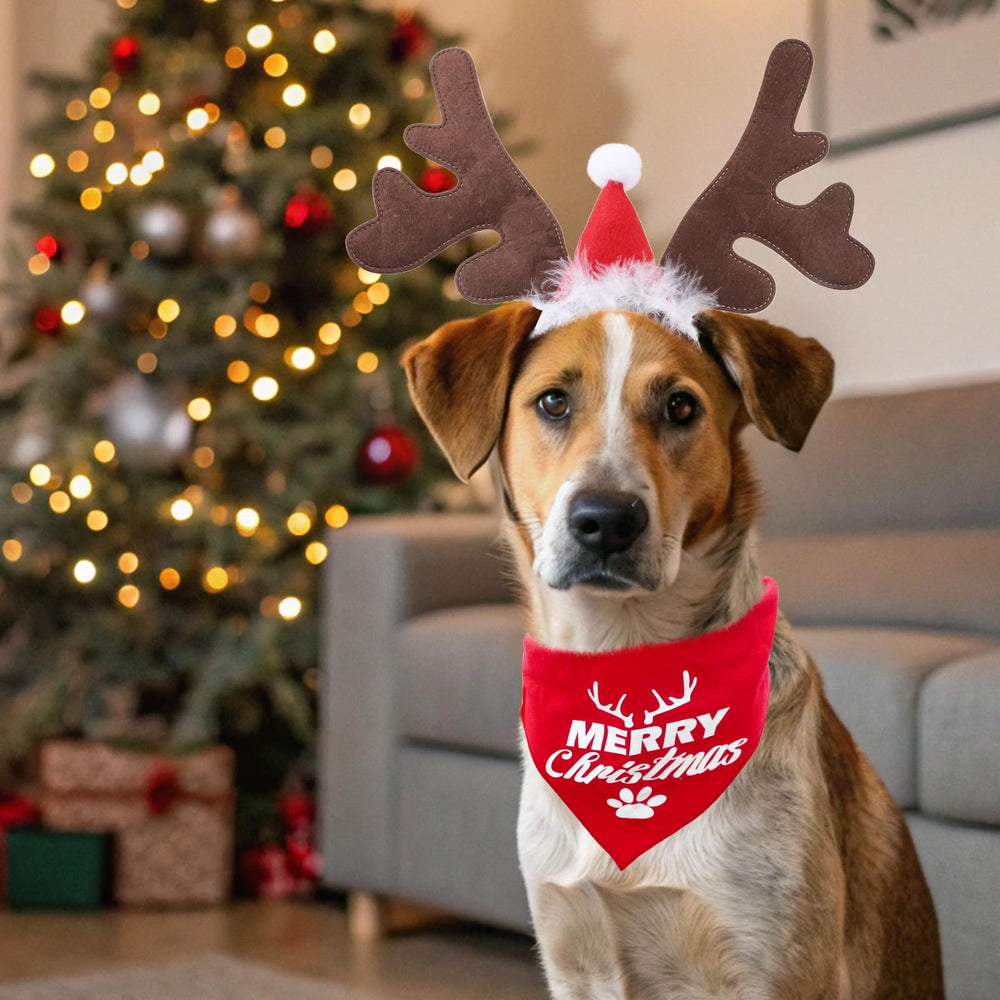 KOOLTAIL regalo perfecto para mascotas durante la Navidad