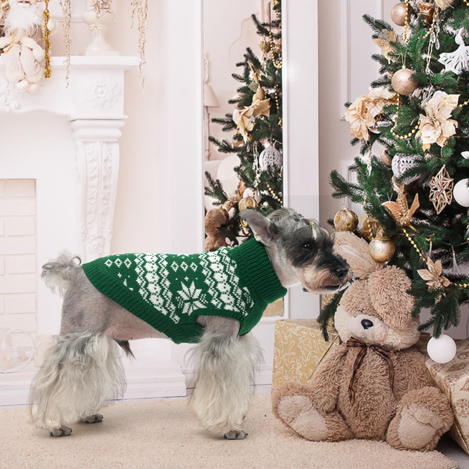 KOOLTAIL regalo navideño ideal para perros amantes del estilo.