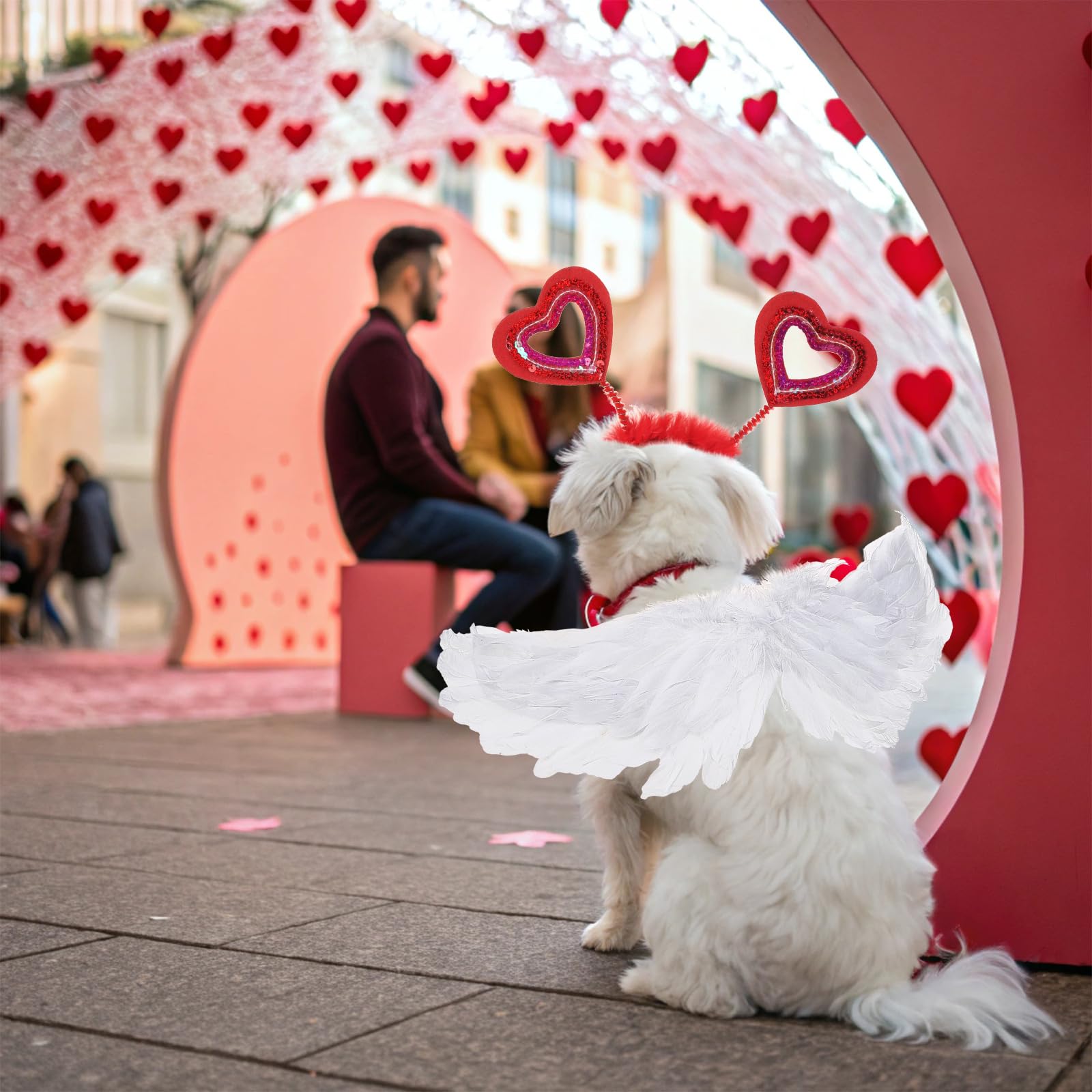 KOOLTAIL regalo para mascotas en San Valentín y fiestas.