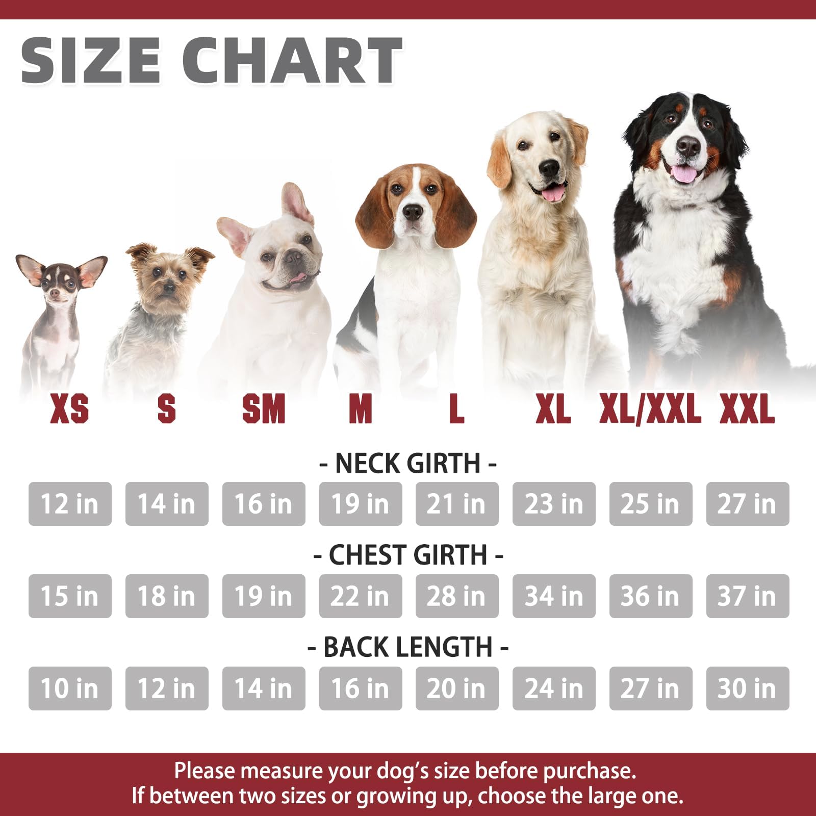 KOOLTAIL sudadera básica para perros con bolsillo práctico para snacks.