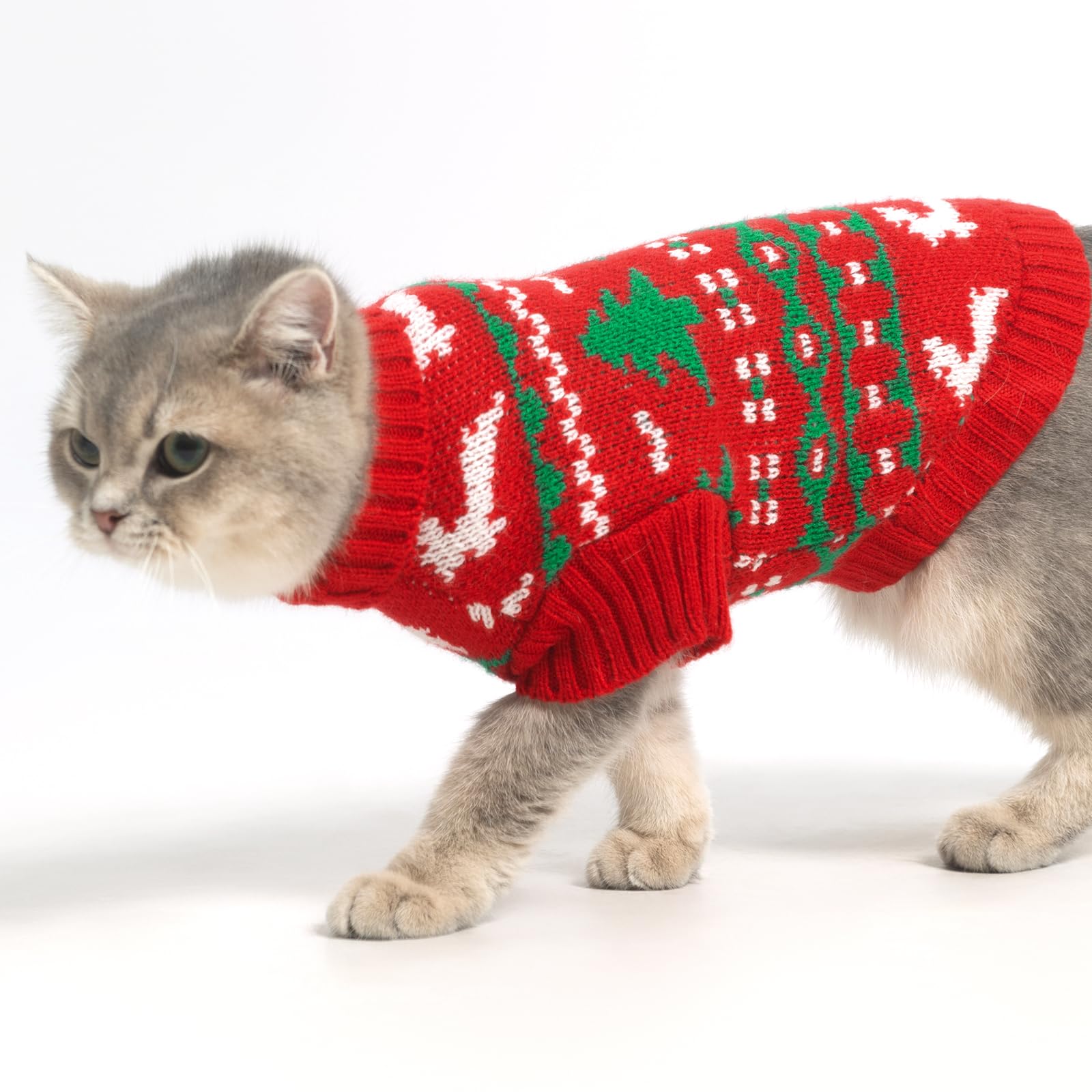 KOOLTAIL sudadera gato ajuste elástico, comodidad flexible para distintas tallas.