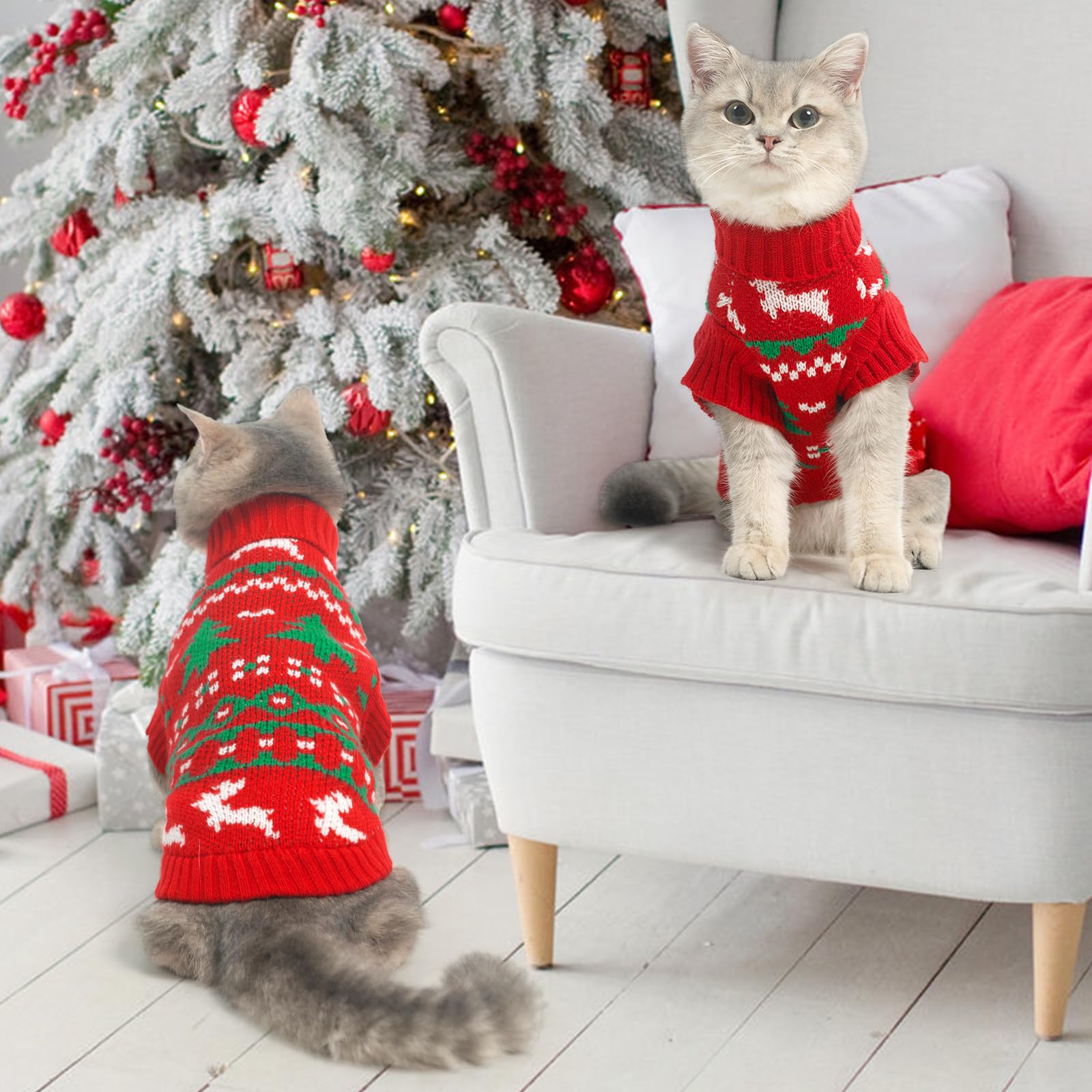 KOOLTAIL sudadera gato para ocasiones diarias y festividades festivas.