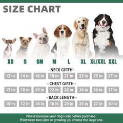 KOOLTAIL sudadera básica para perros, vista trasera, estilo deportivo y cálido