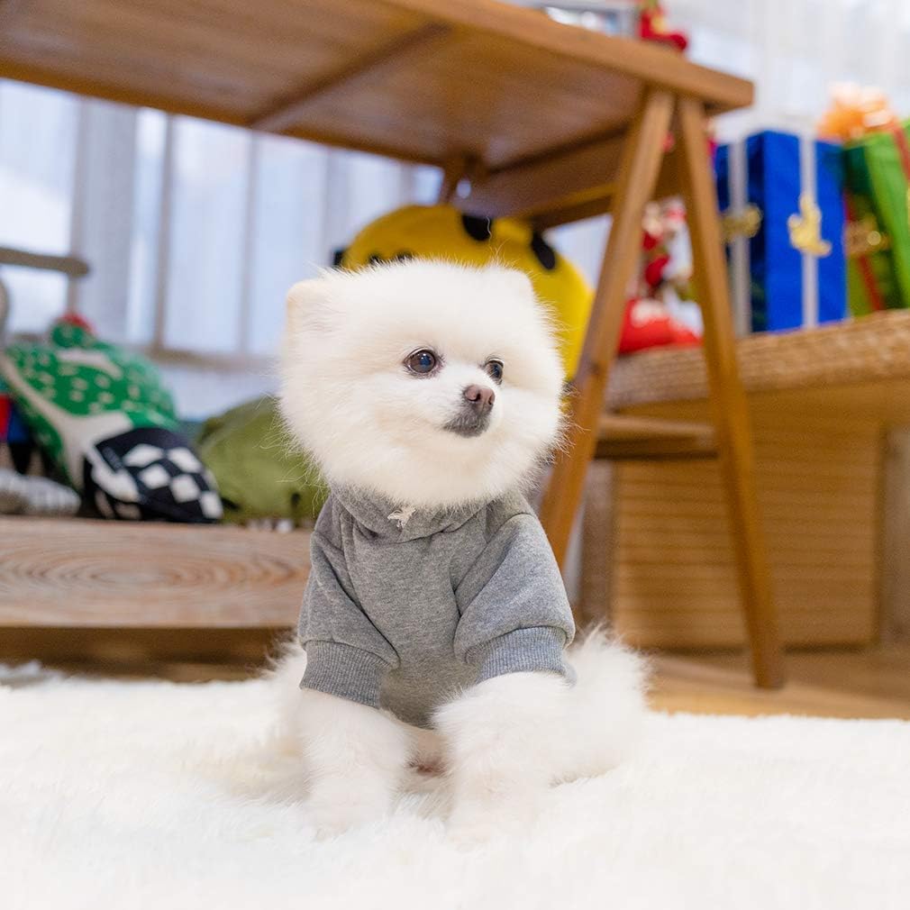 KOOLTAIL sudadera para perros básica, disponible en varios colores.