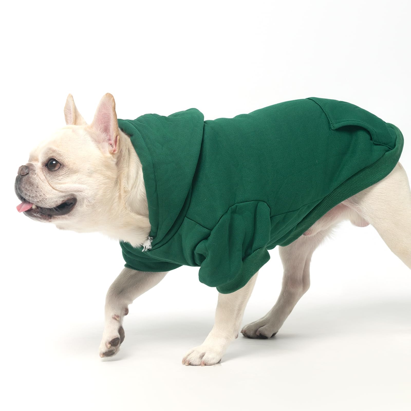 KOOLTAIL sudadera básica para perros, diseño deportivo adecuado para eventos