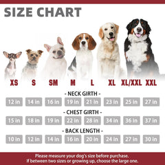 KOOLTAIL sudadera para perros: vista trasera, ajuste cómodo y moderno