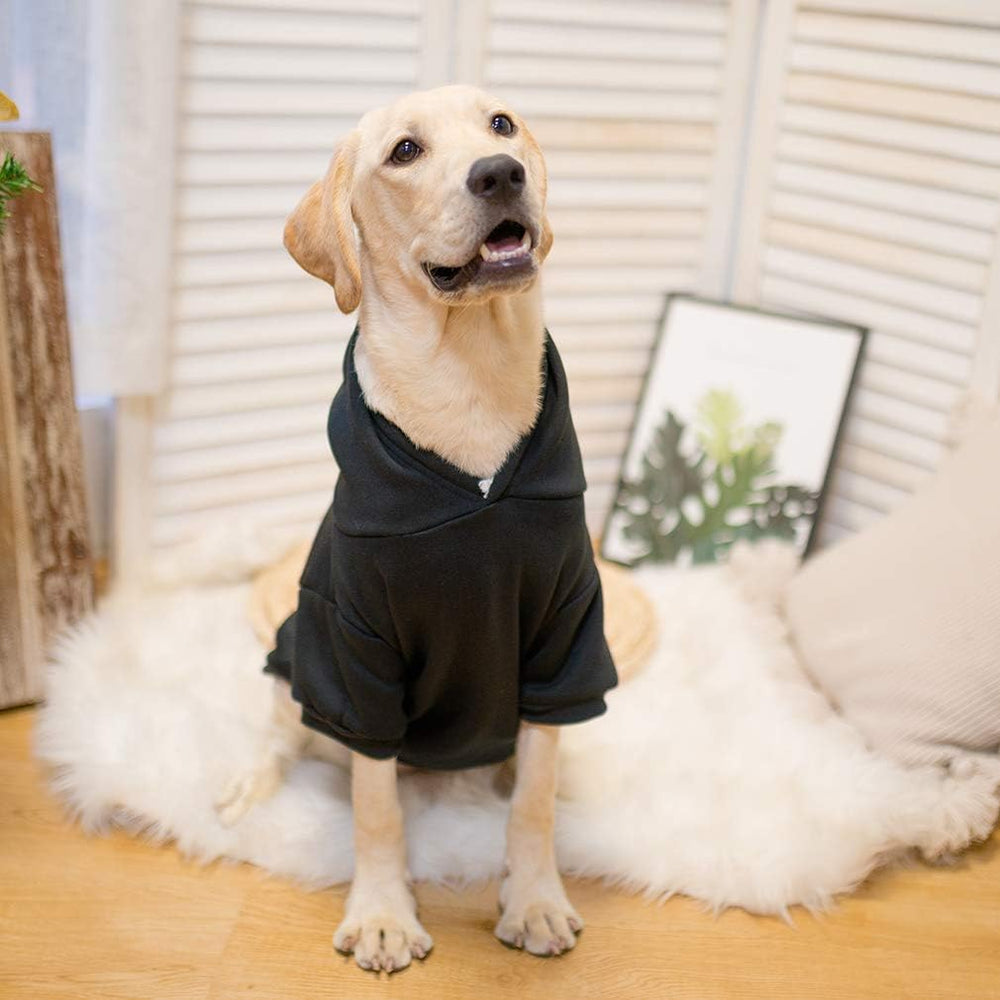Kooltail sudadera lavable a máquina, cuidado fácil