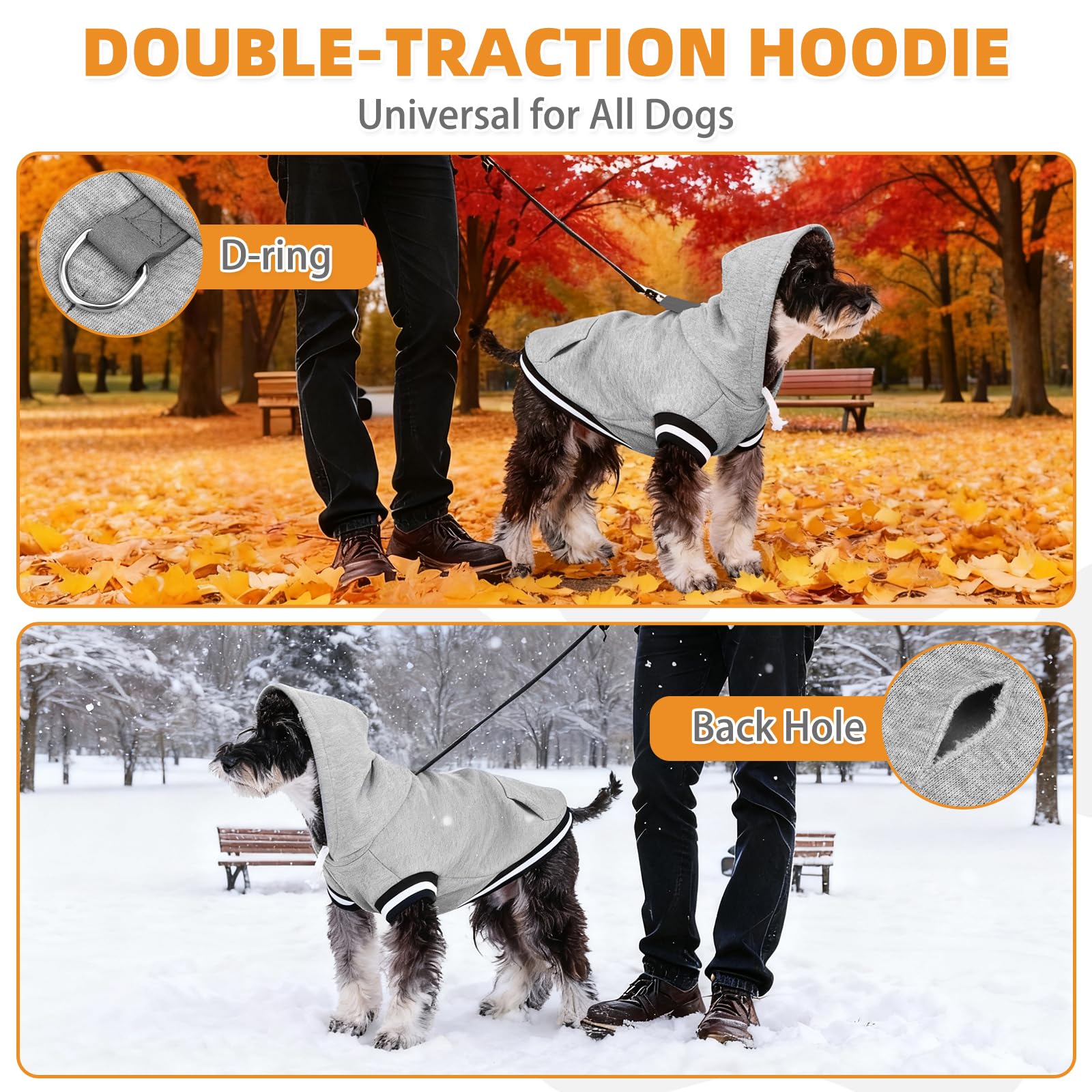 Sudadera Kooltail capucha con ribete de color para estilo y calidez.