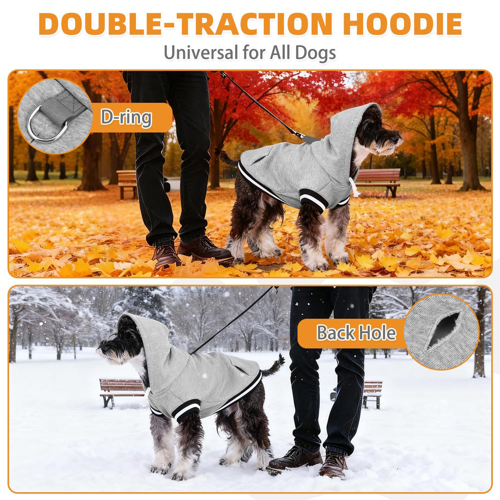 Sudadera Kooltail capucha con ribete de color para estilo y calidez.