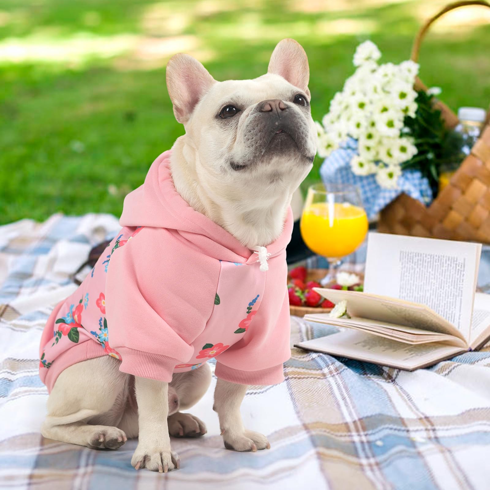 KOOLTAIL sudadera para perro rosa, ideal para visitas y sesiones de fotos casuales.