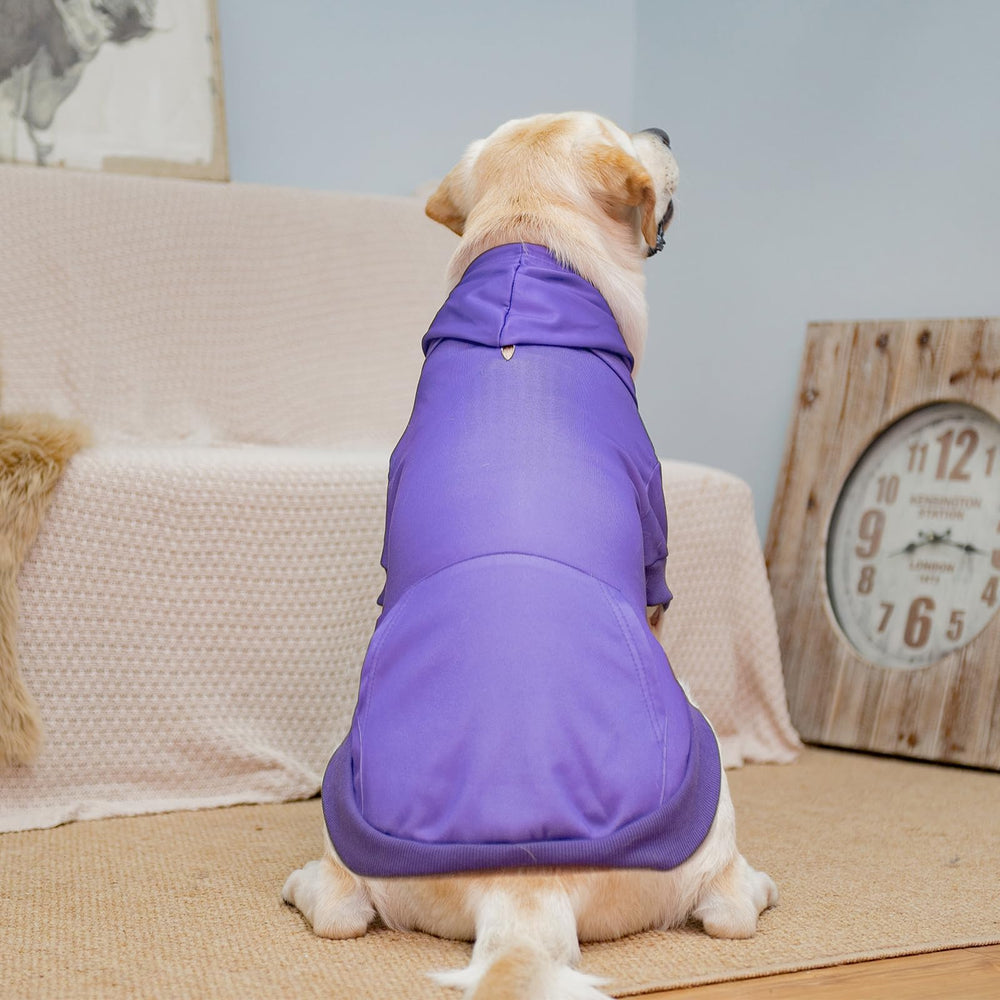KOOLTAIL sudadera para perro cierre seguro, paseos y entrenamiento.