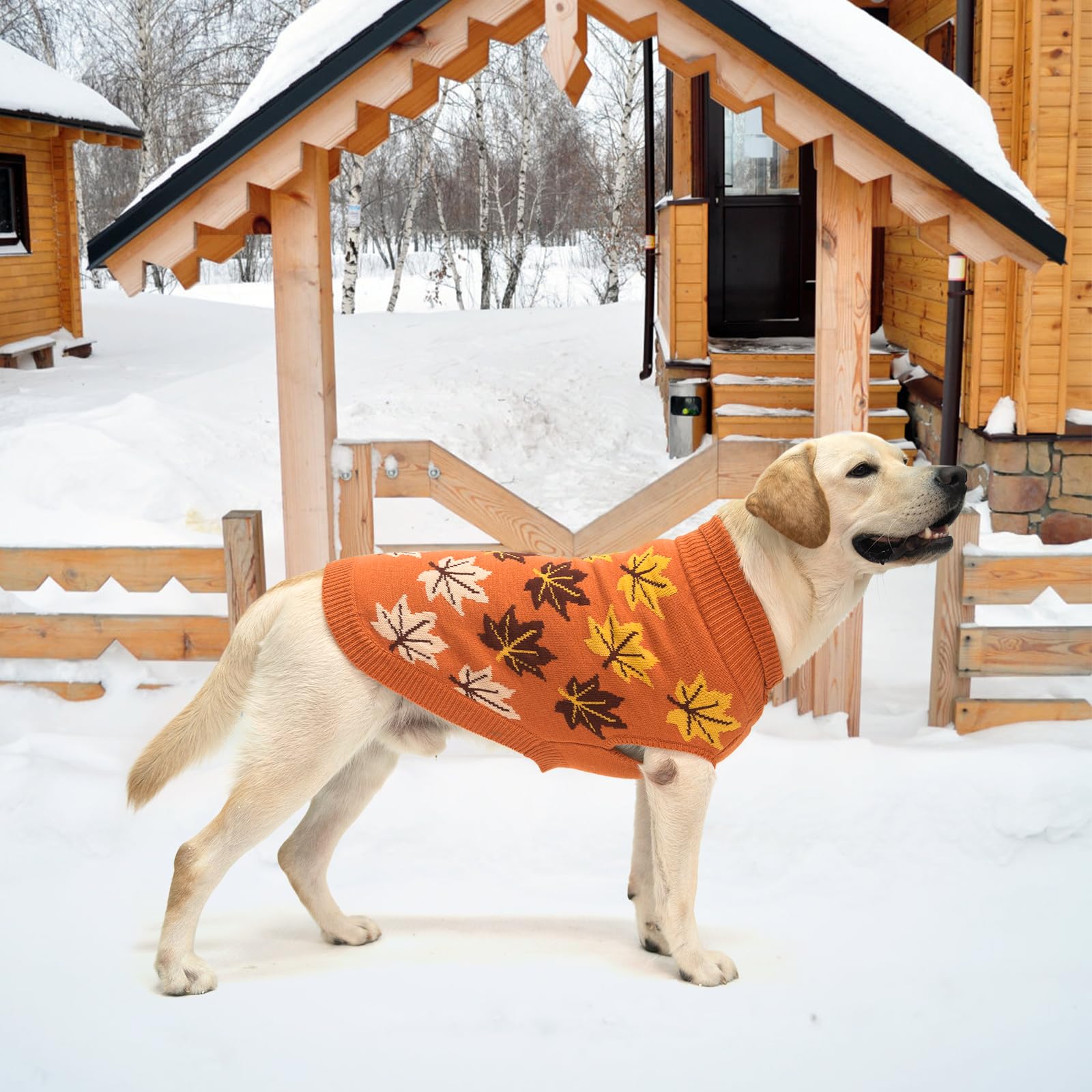 KOOLTAIL sudadera con corte en vientre, facilita las pausas para ir al baño.