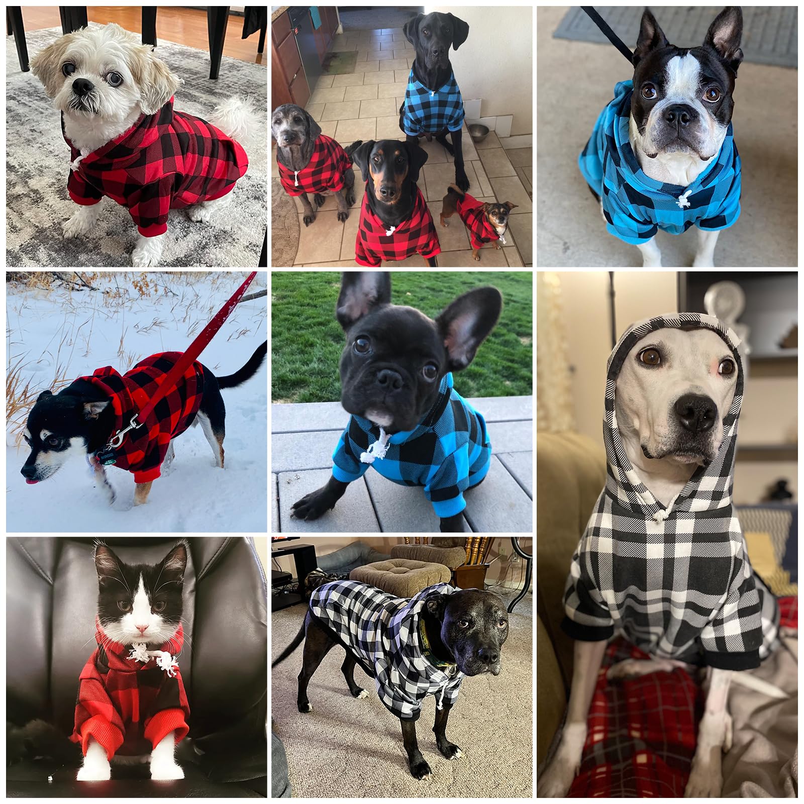 KOOLTAIL sudadera para perro para paseos de otoño, abriga sin esfuerzo