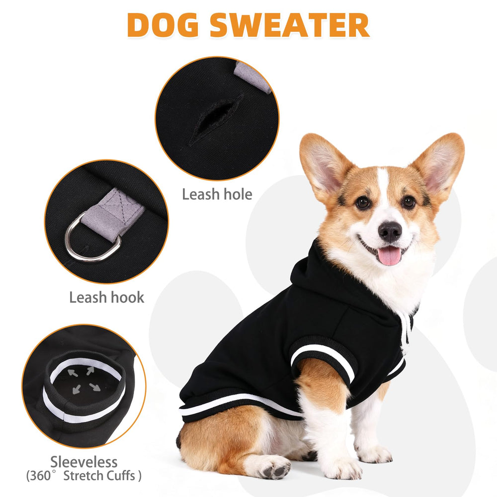 KOOLTAIL sudadera para perro diseño color-block y capucha, estilo moderno
