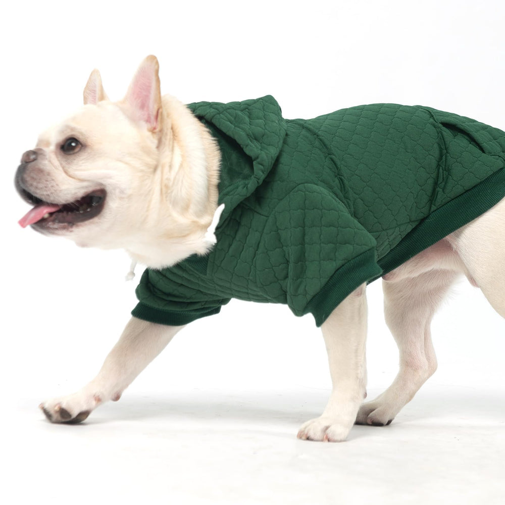 KOOLTAIL sudadera para perro grande verde cierre elástico; ajuste seguro