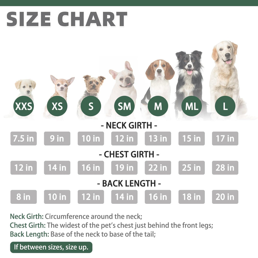 KOOLTAIL sudadera para perro grande verde espalda; capucha para protección