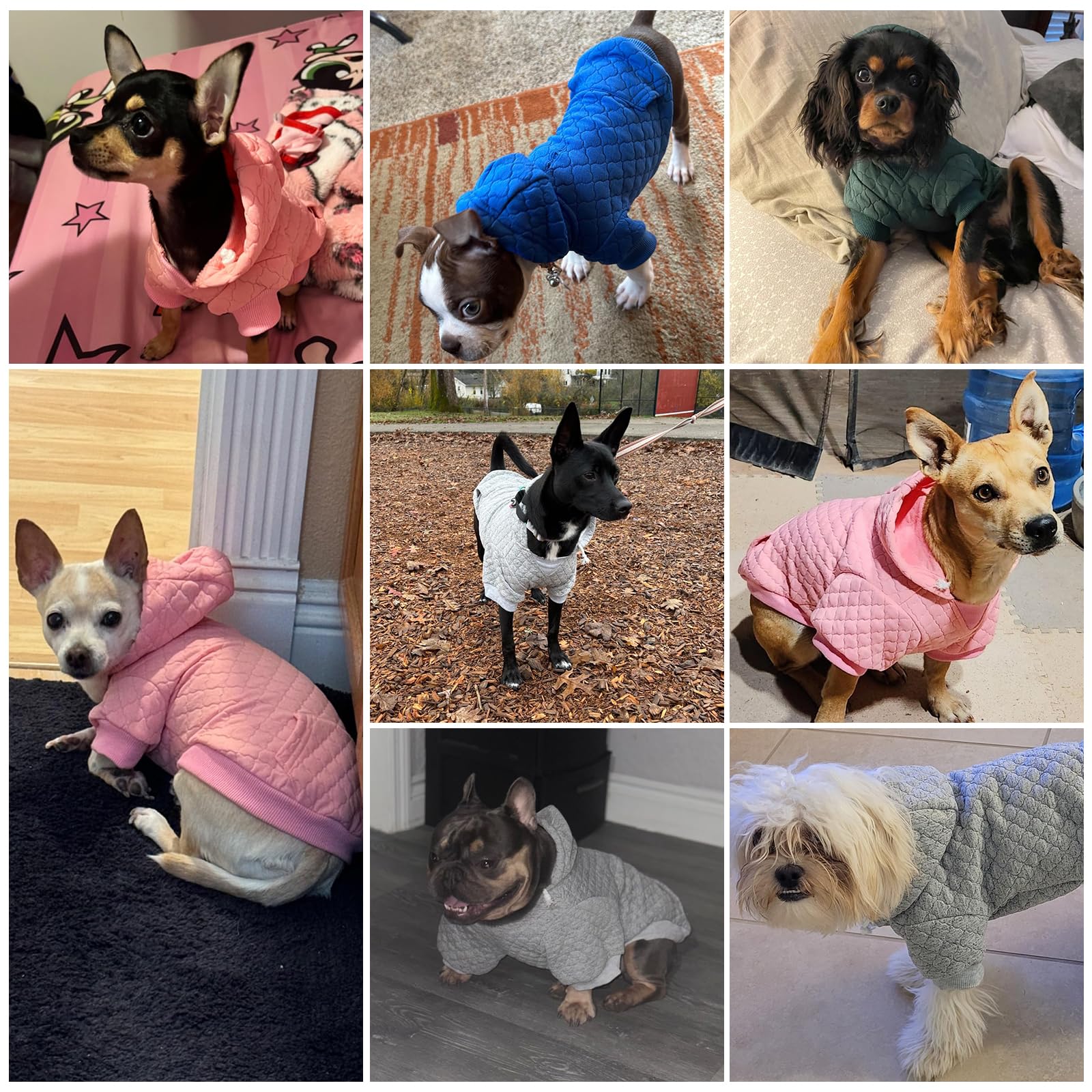 KOOLTAIL sudadera para perro grande verde lavable a máquina; cuidado fácil