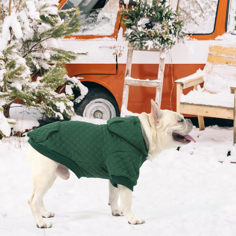 KOOLTAIL sudadera para perro grande verde uso invernal; comodidad en caminatas