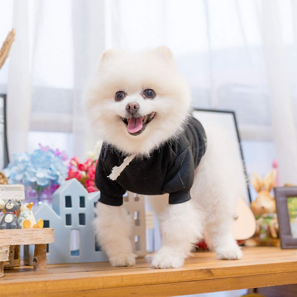 KOOLTAIL sudadera para perro lavable a máquina, cuidado sencillo.