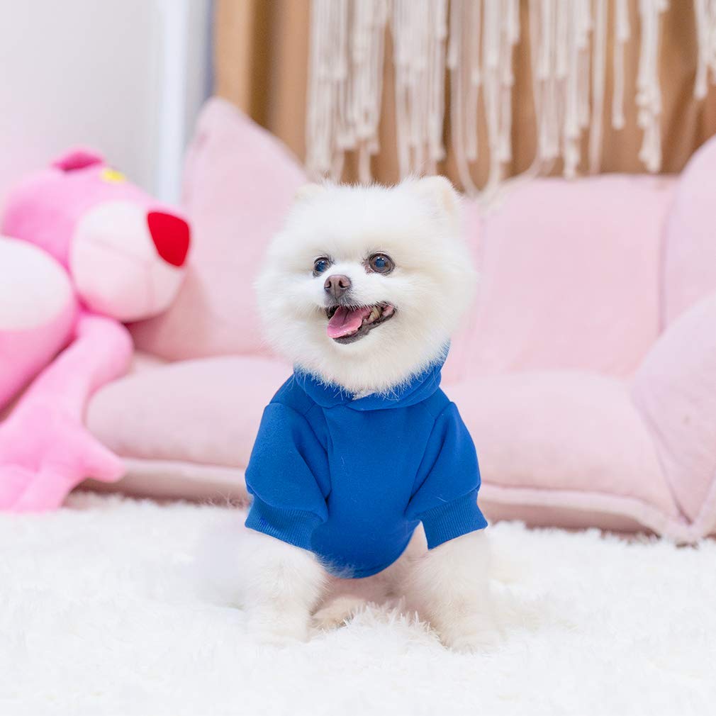 KOOLTAIL sudadera-perro-lavado-maquina, limpieza rápida y práctica.